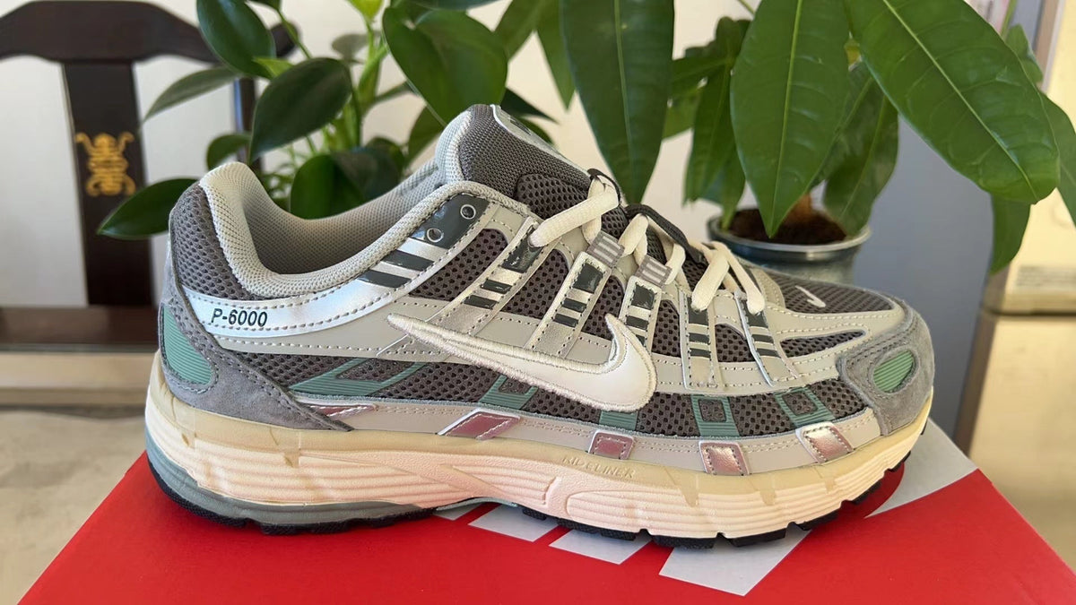 Nike P-6000 Sneakers FN7509-029 Grey Multi-Color