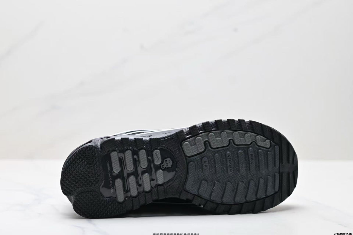 Nike Air Max Plus Black Silver Sneakers