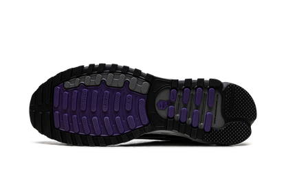 Air Max TL 2.5 "Wild Grape" FZ4110 105