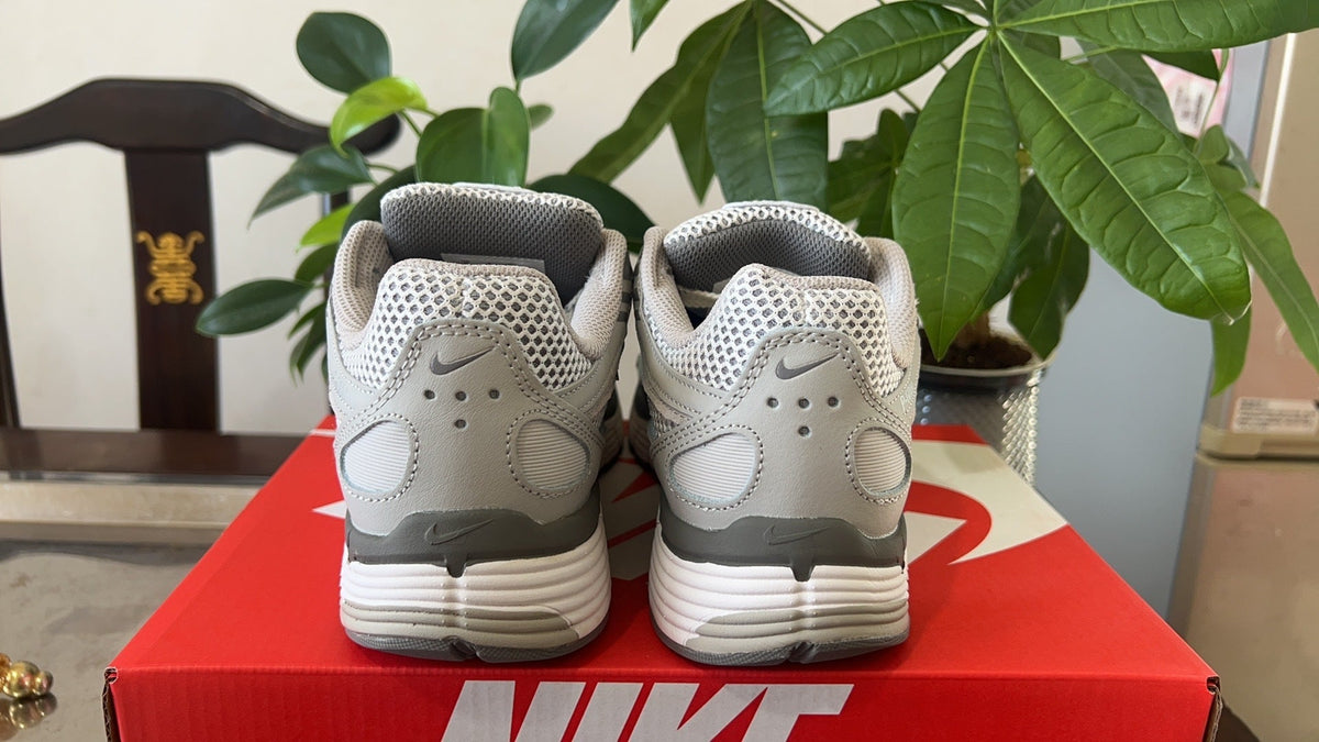 Nike P-6000 Sneakers Light Grey FN6837-012