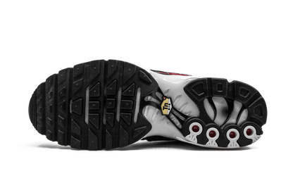 Air Max Plus TN SE "Striped" AT0040 001