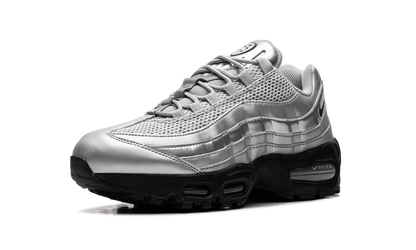 Nike Air Max 95 "Total 90 - Metallic Silver" IB6830 002