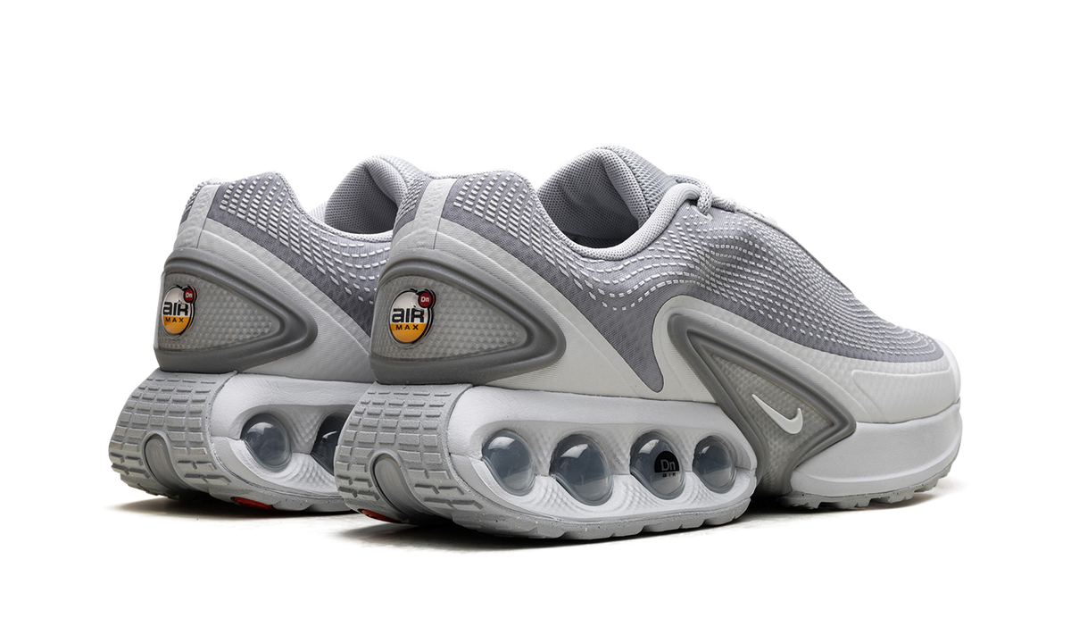 Air Max Dn "Wolf Grey" DV3337 007
