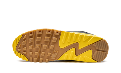 Air Max 90 "Go The Extra Smile" DO5848 700