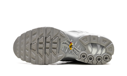 Air Max Plus "Metallic Silver" Fj1012 095
